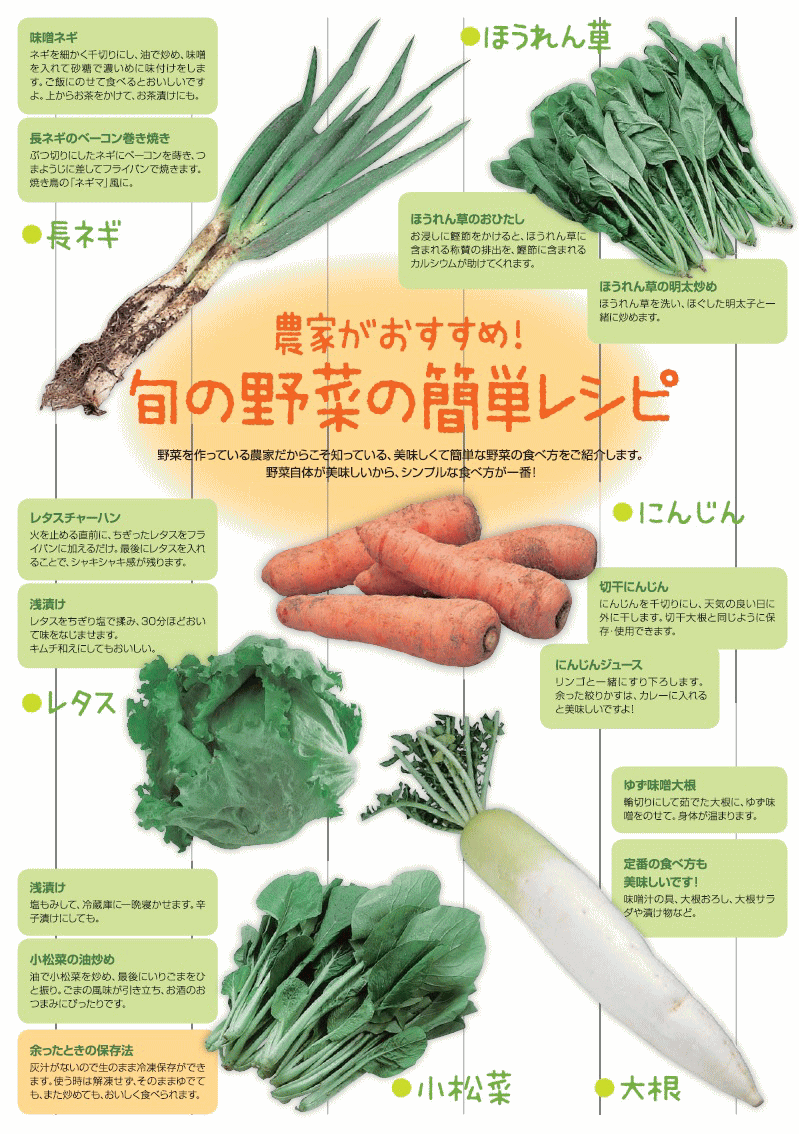 農家がおすすめ！旬の簡単レシピ、ねぎ、ほうれん草、小松菜、レタス、にんじん、だいこん